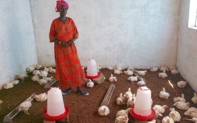 Project #65 | Economic Empowerment for Women in Senegal