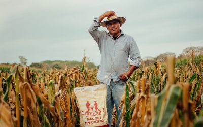 Project #99 | Agricultural Empowerment in Guatemala