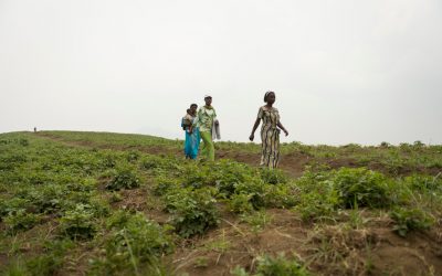 Project #8 | Women’s Economic Empowerment in the Congo