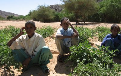 Project #28 | Sustainable Food Security in Niger