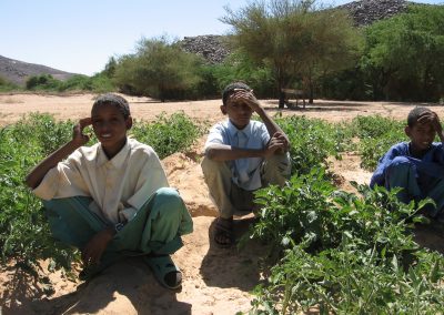 Project #28 | Sustainable Food Security in Niger