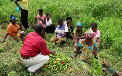 Project #46 | Agricultural Training for Marginalized Women in Rwanda