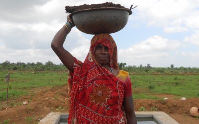 Project #59 | Farmer Training in India