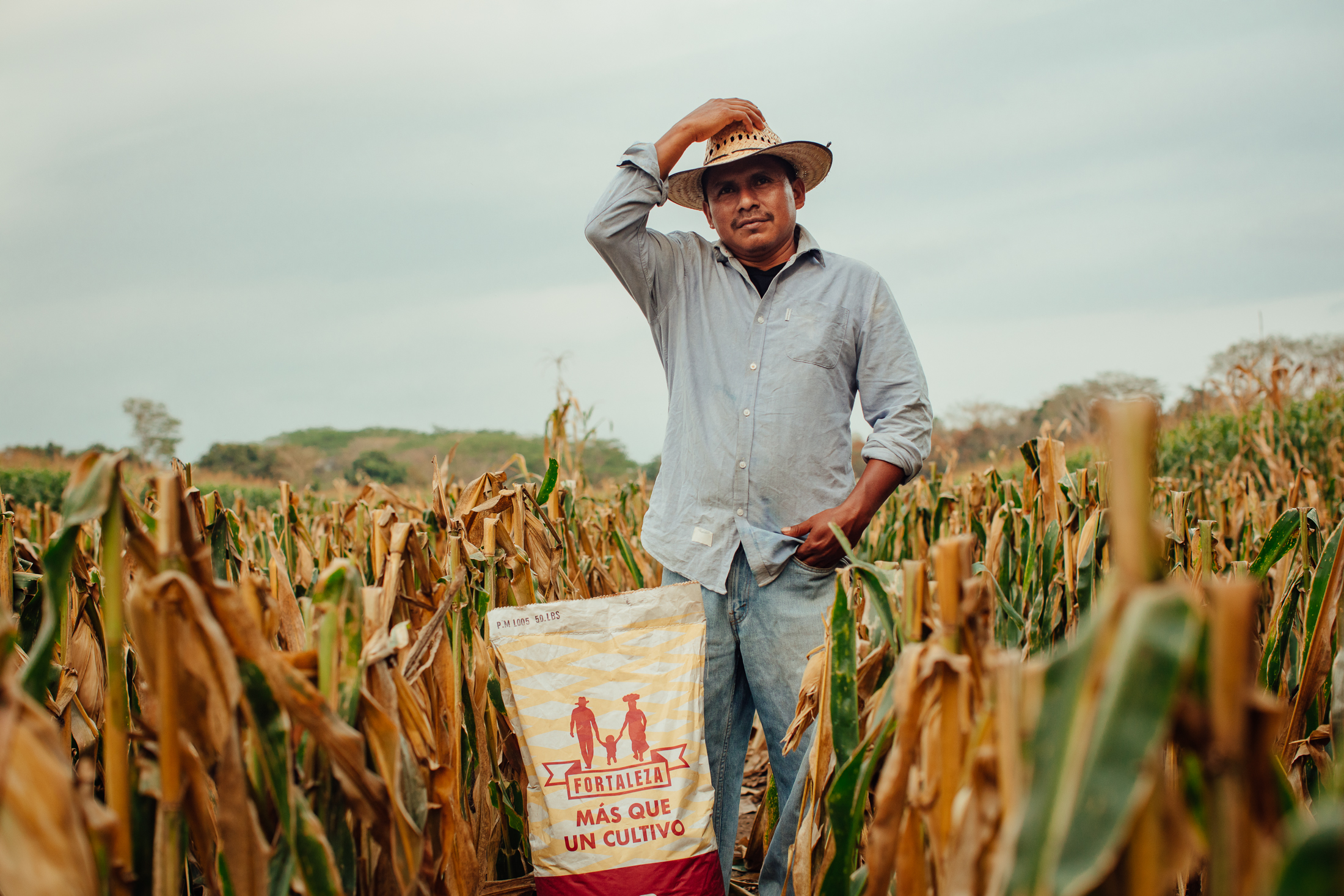 Project #149 | Fighting Malnutrition with Biofortified Corn in Guatemala