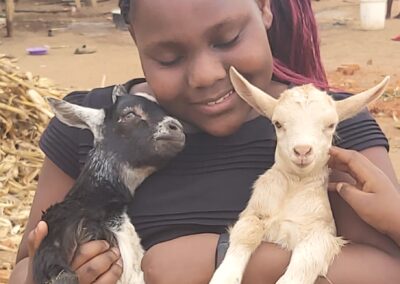 Project #240 | Goat Pass-On for Rural Women’s Economic Empowerment in Malawi