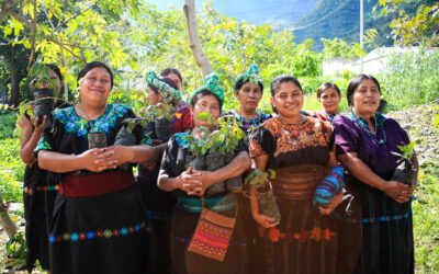 Project #229 | Food, Economic, and Environmental Sustainability in Guatemala