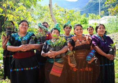 Project #229 | Food, Economic, and Environmental Sustainability in Guatemala