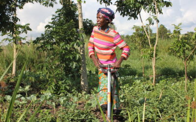 Project #271 | Helping Kenyan Farmers Fight the Food Crisis