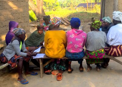 Project #308 |  Integrating Climate Action and Mental Health in Liberia