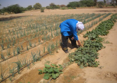 Project #304 | Sustainable Gardening and Climate Adaptation in Rural Niger