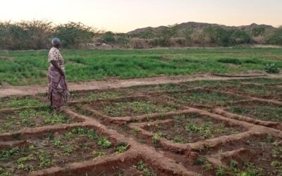 Project #304 | RAIN: Sustainable Gardening and Climate Adaptation in Rural Niger