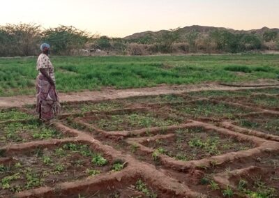 Project #304 | RAIN: Sustainable Gardening and Climate Adaptation in Rural Niger