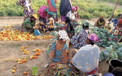 RAIN for the Sahel and Sahara