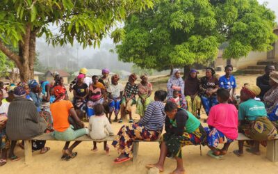 Project #308 |  Restore Hope: Climate Action and Mental Health in Liberia (Year 1)