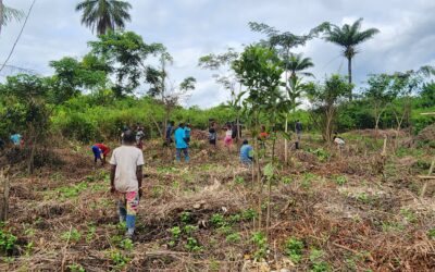 Project #330 | Restore Hope: Integrating Climate Action and Mental Health in Liberia