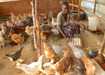 Project #337 | PRHE: Empowering Women through Climate-Smart Poultry Farming