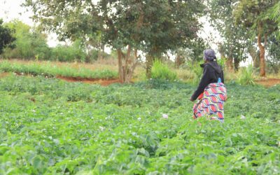 Project #341 | SOFERES: Empowering Refugee Women Farmers through Sustainable Agriculture