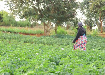 Project #341 | SOFERES: Empowering Refugee Women Farmers through Sustainable Agriculture