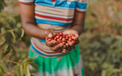 Ways to Give: Simple, Meaningful Options That Fit Your Life